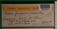 Image Associated With the Occurence